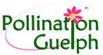Pollination Guelph logo